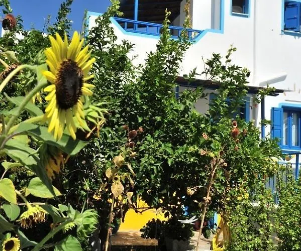 Apartment Titika Katapola