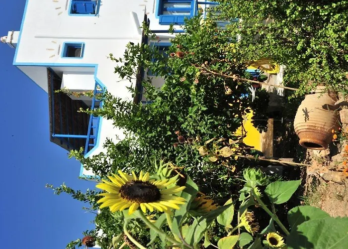 Apartment Titika Katapola